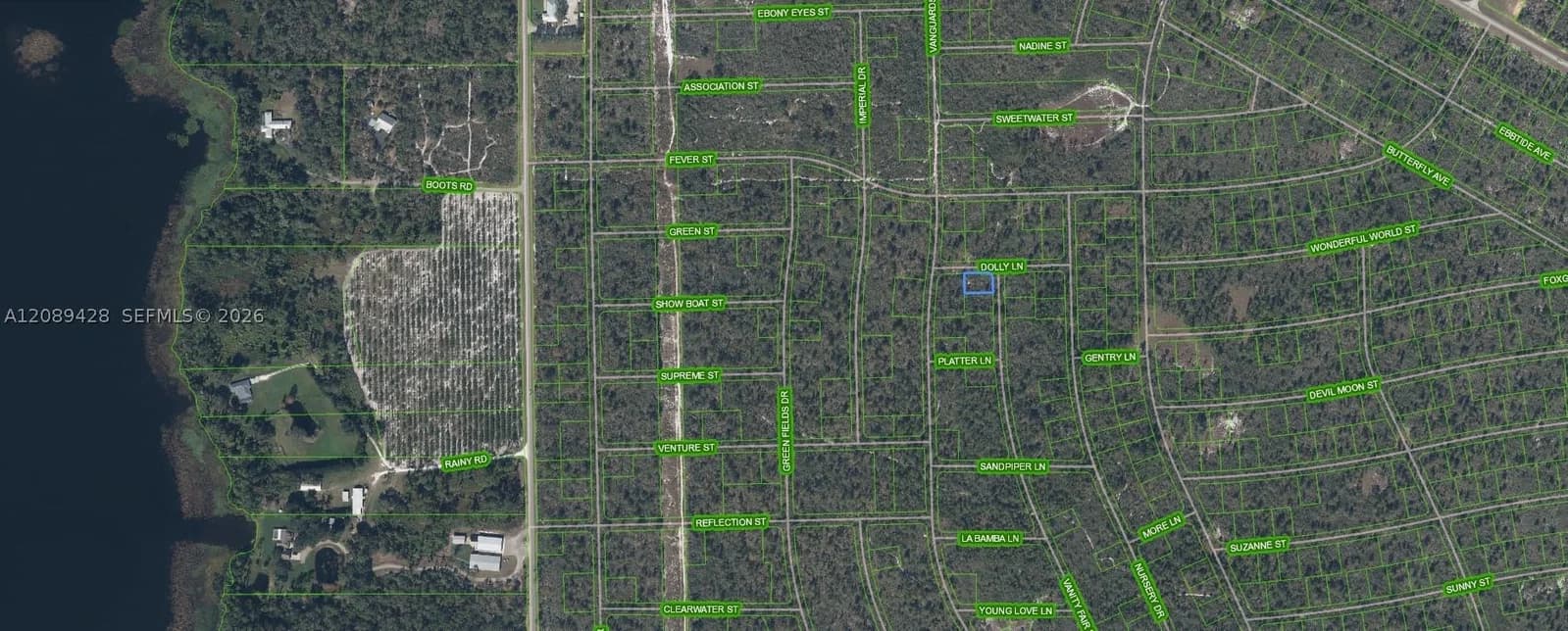 Mülk — 305 Dolly Lane, Lake Placid, FL 33852
