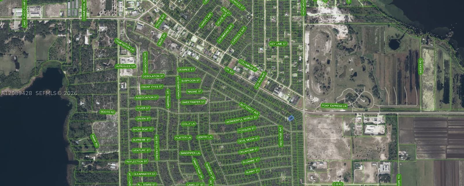 Mülk — 305 Dolly Lane, Lake Placid, FL 33852