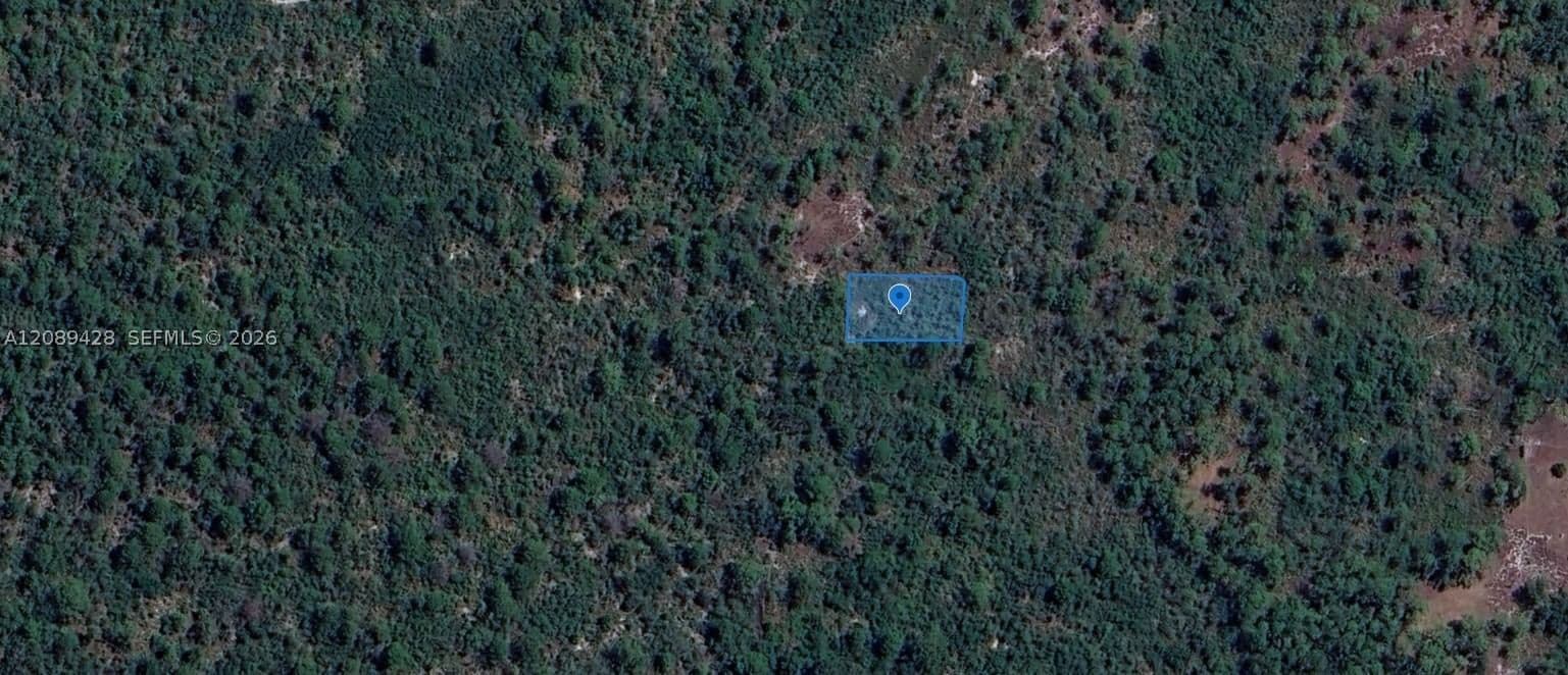 Mülk — 305 Dolly Lane, Lake Placid, FL 33852
