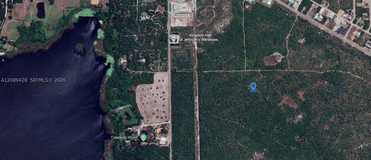Mülk — 305 Dolly Lane, Lake Placid, FL 33852