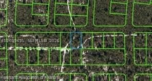 Mülk — 437 Souvenir Lane, Lake Placid, FL 33852