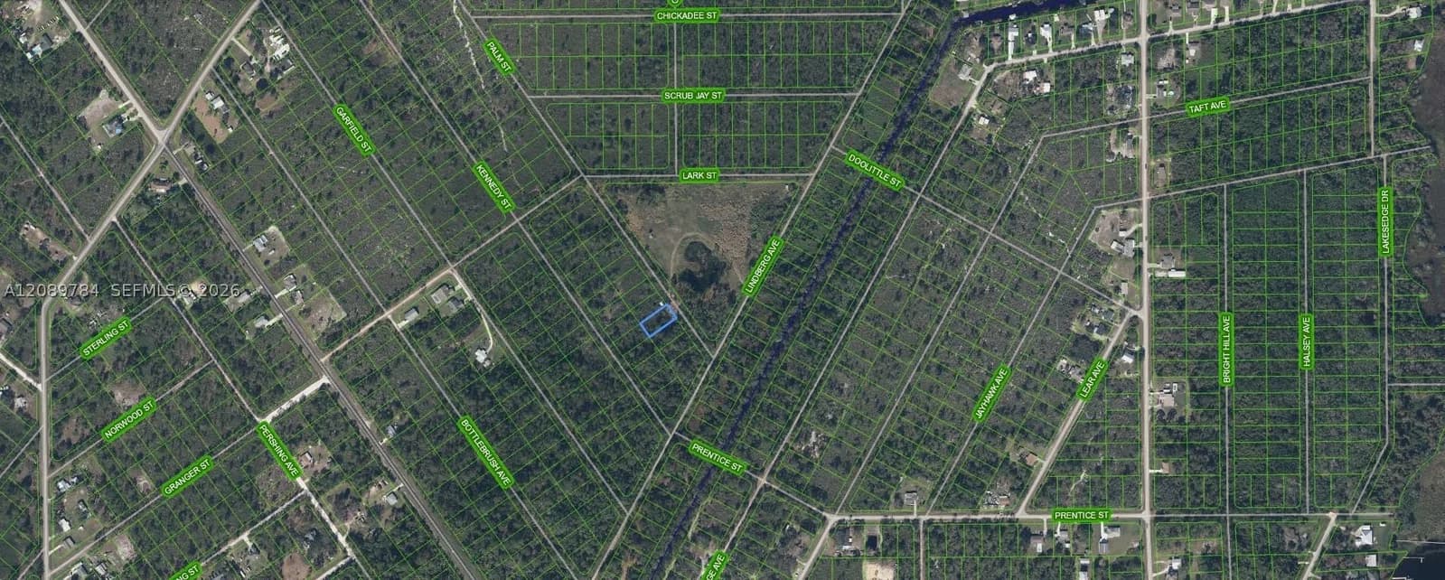 Mülk — 546 Palm Street, Lake Placid, FL 33852
