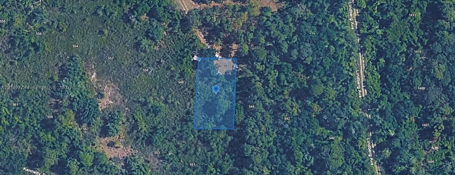 Mülk — 546 Palm Street, Lake Placid, FL 33852