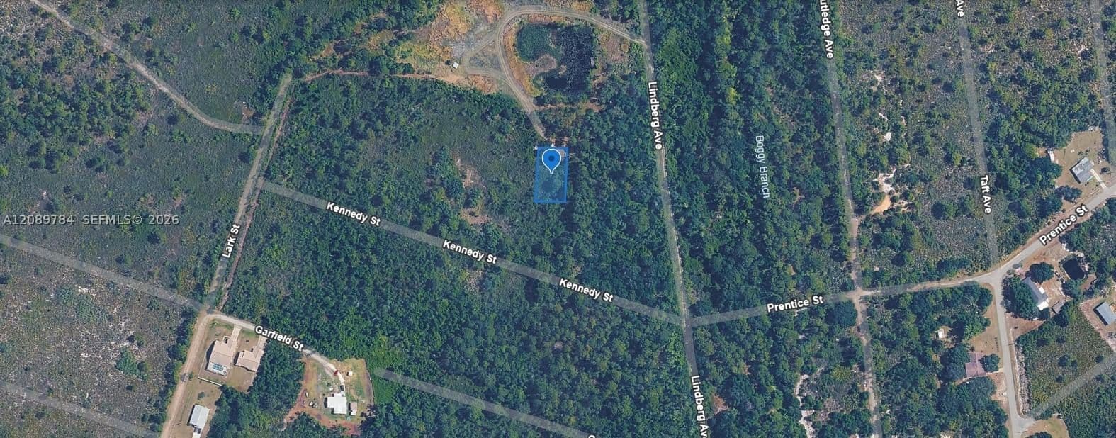 Mülk — 546 Palm Street, Lake Placid, FL 33852