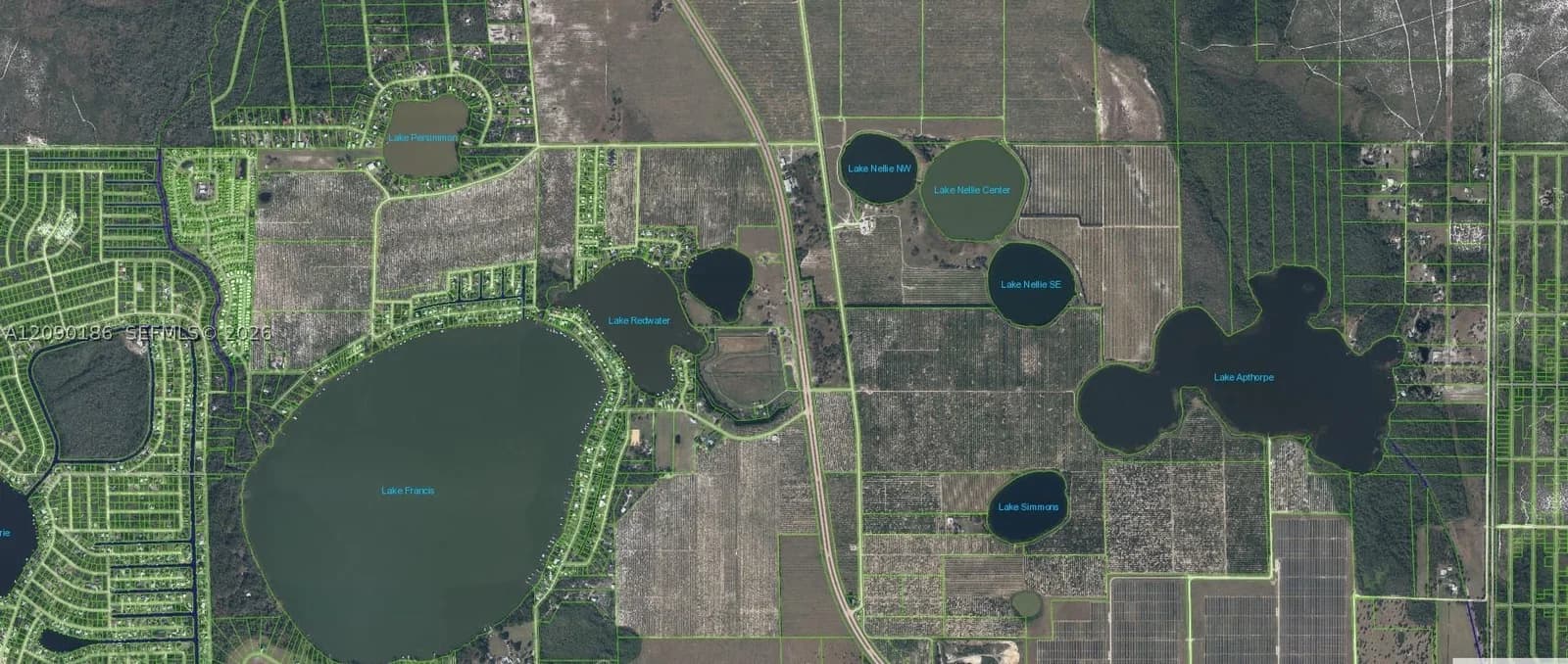 Mülk — 881 Papaya Street, Lake Placid, FL 33852