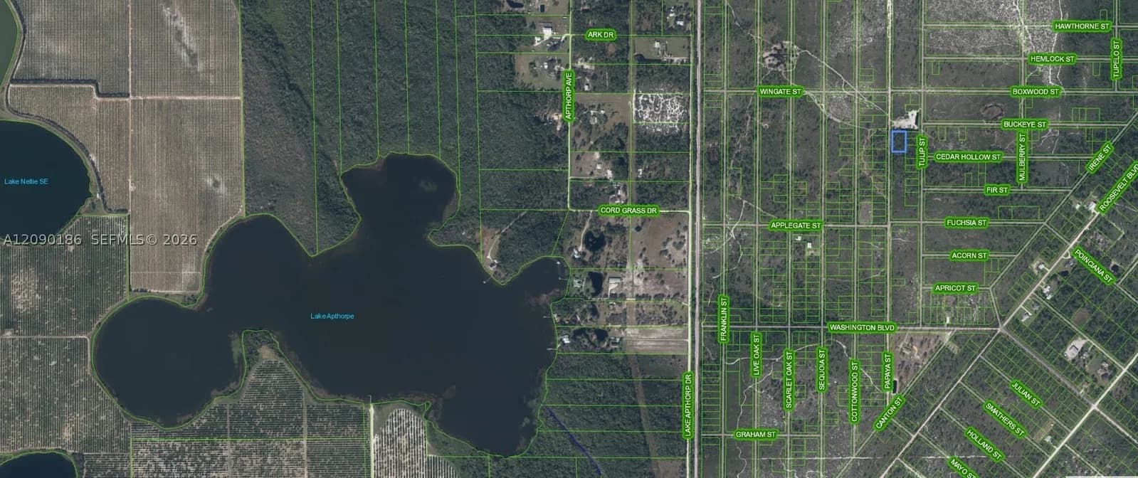 Mülk — 881 Papaya Street, Lake Placid, FL 33852