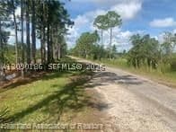 Mülk — 881 Papaya Street, Lake Placid, FL 33852