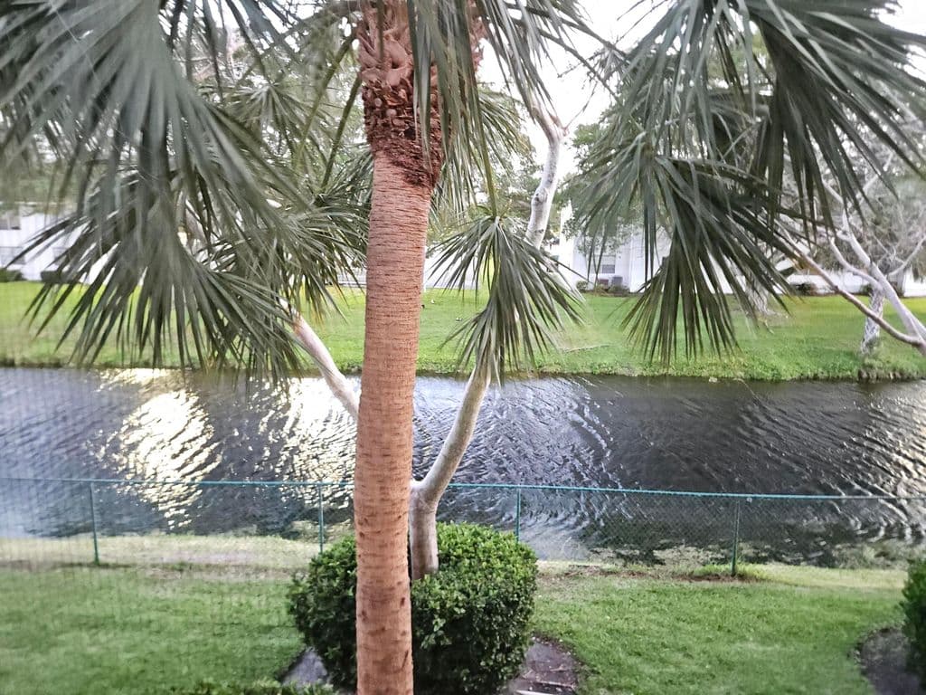 2-bedroom Condo — 7900 NW 6th Street #205