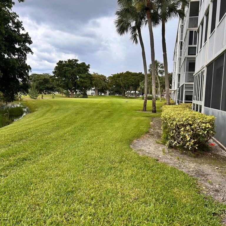 1+1 Condo — 2851 S Palm Aire Drive #405