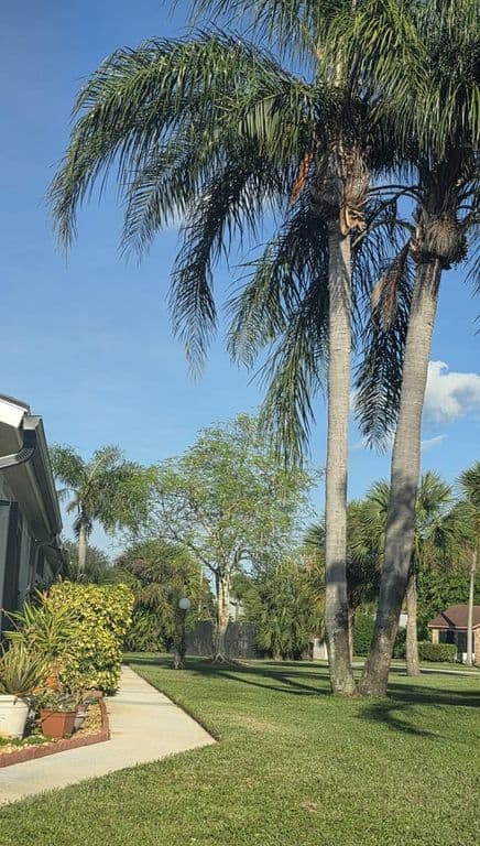 2+1 Müstakil ev — 4327 Willow Brook Circle