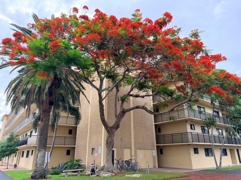 2-bedroom Condo — 2601 NE 14th Street #535