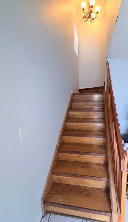 3+1 Müstakil ev — 5813 Wild Lupine Court