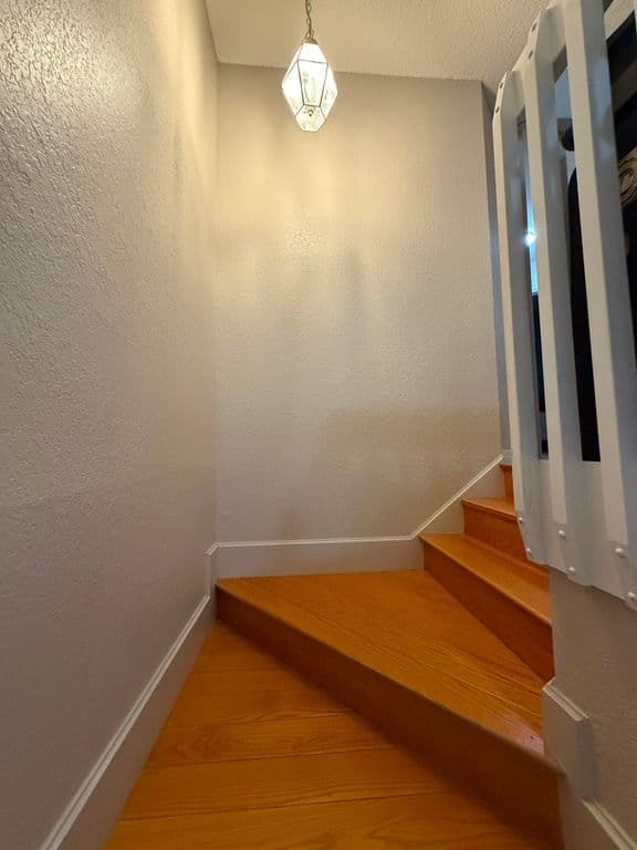 4+1 Müstakil ev — 4140 Pine Hollow Circle