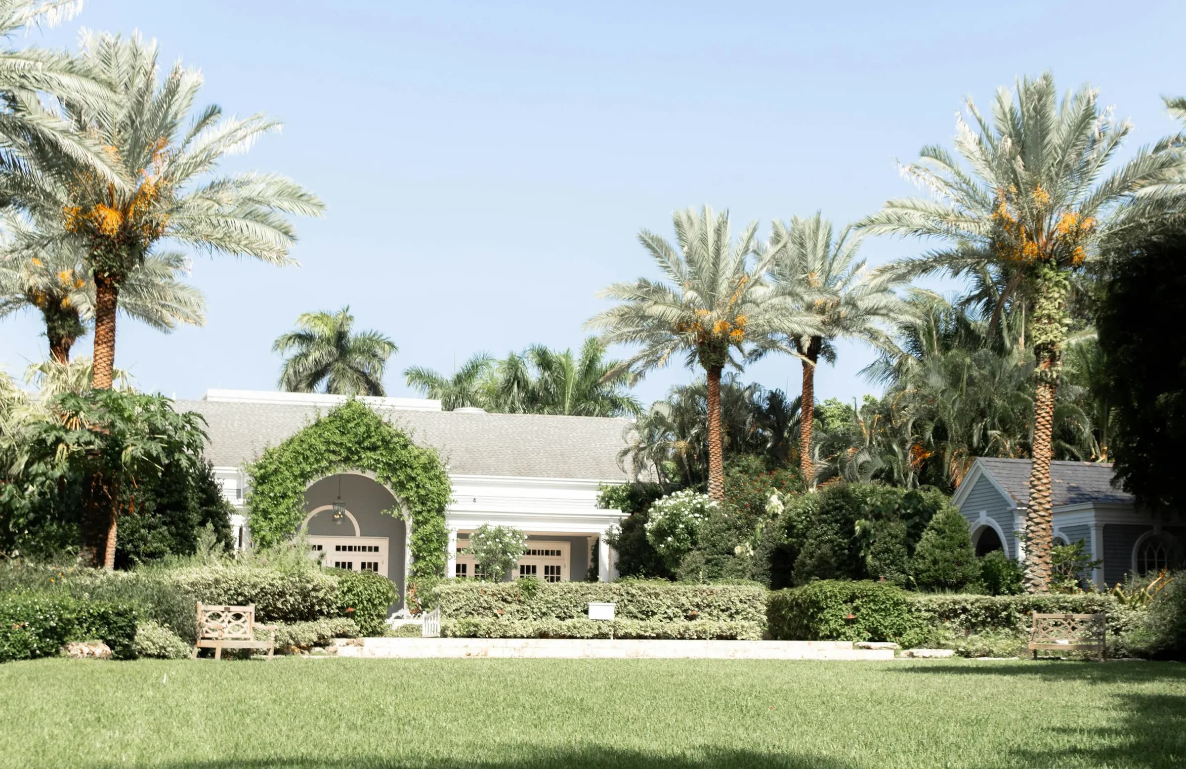 A low-rise house with an ivy-covered arched entrance, a wide lawn and palm trees