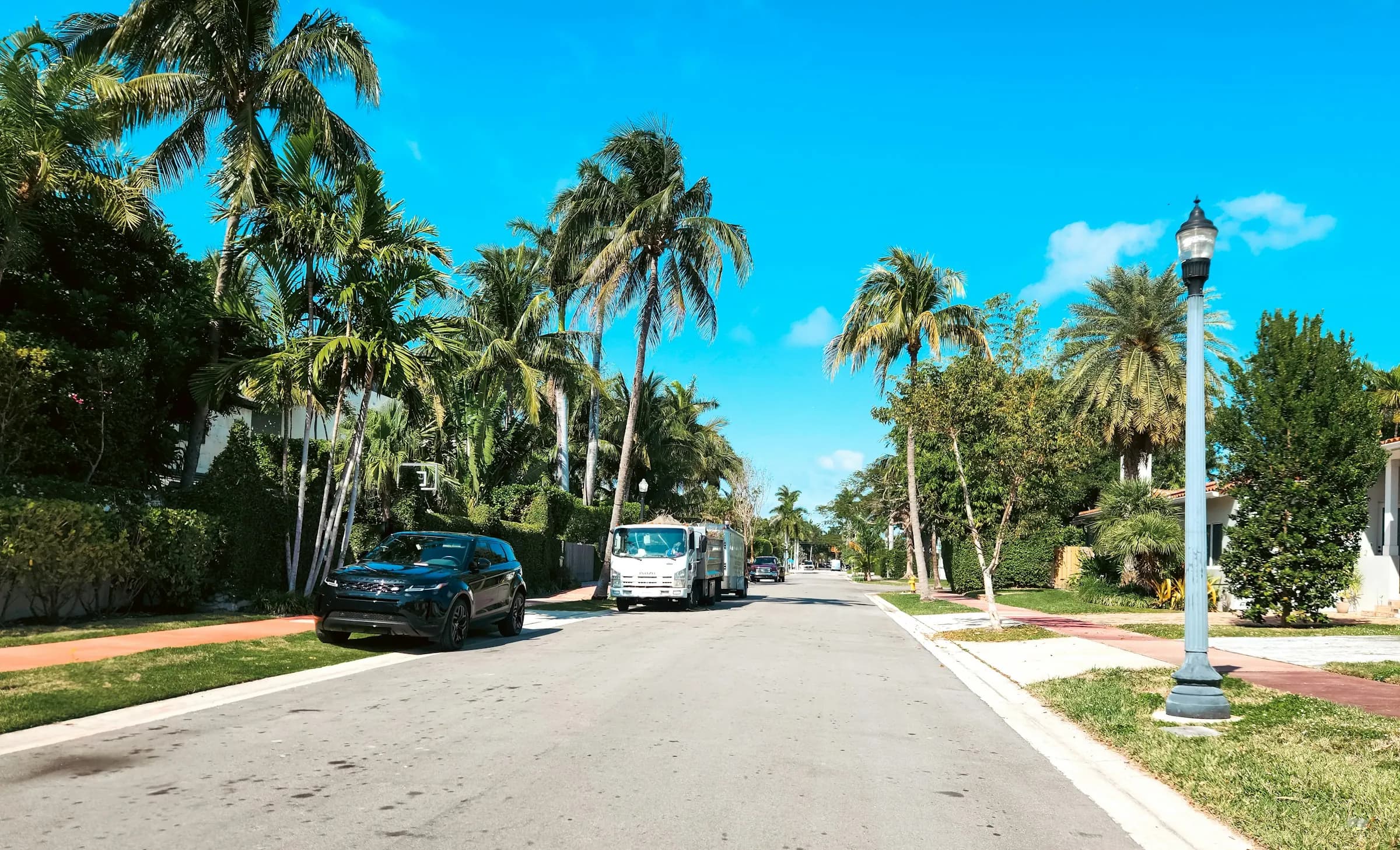 A quiet street lined with palm trees, with cars parked along the side