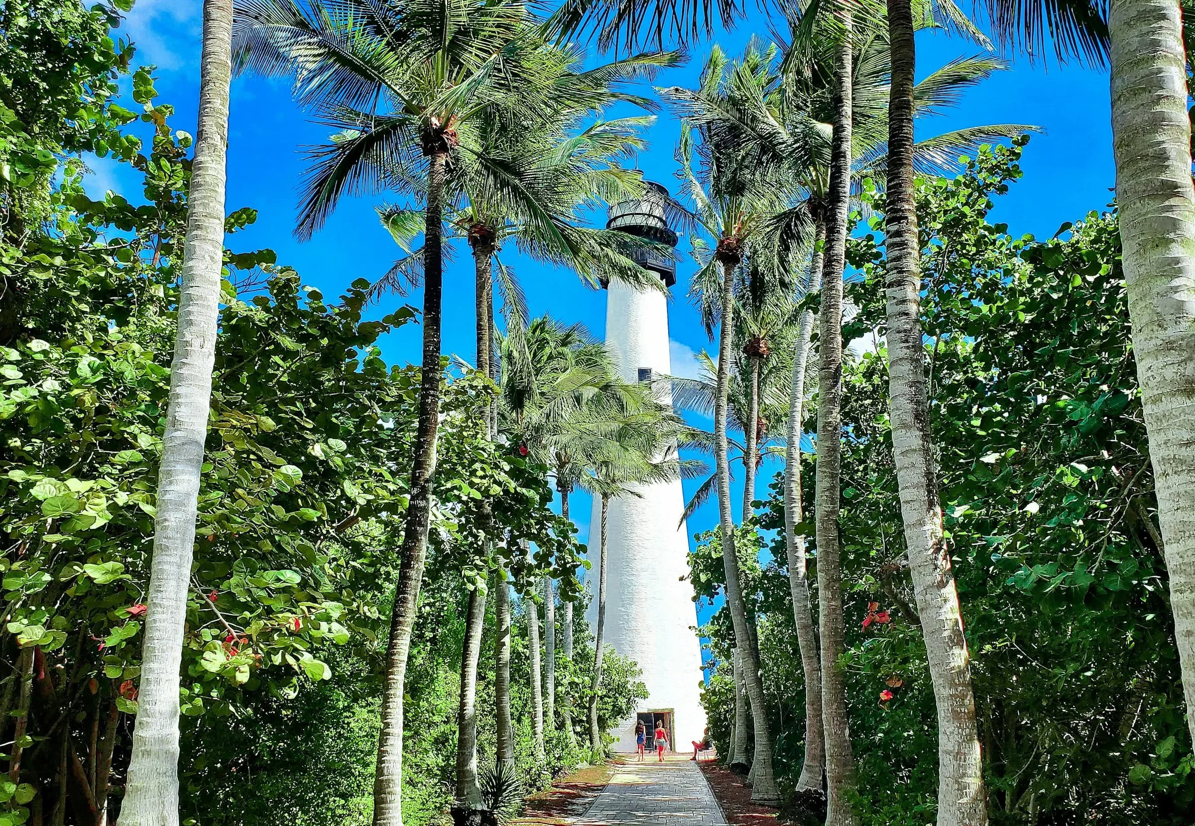 A white lighthouse at the end of a walkway lined with palm trees
