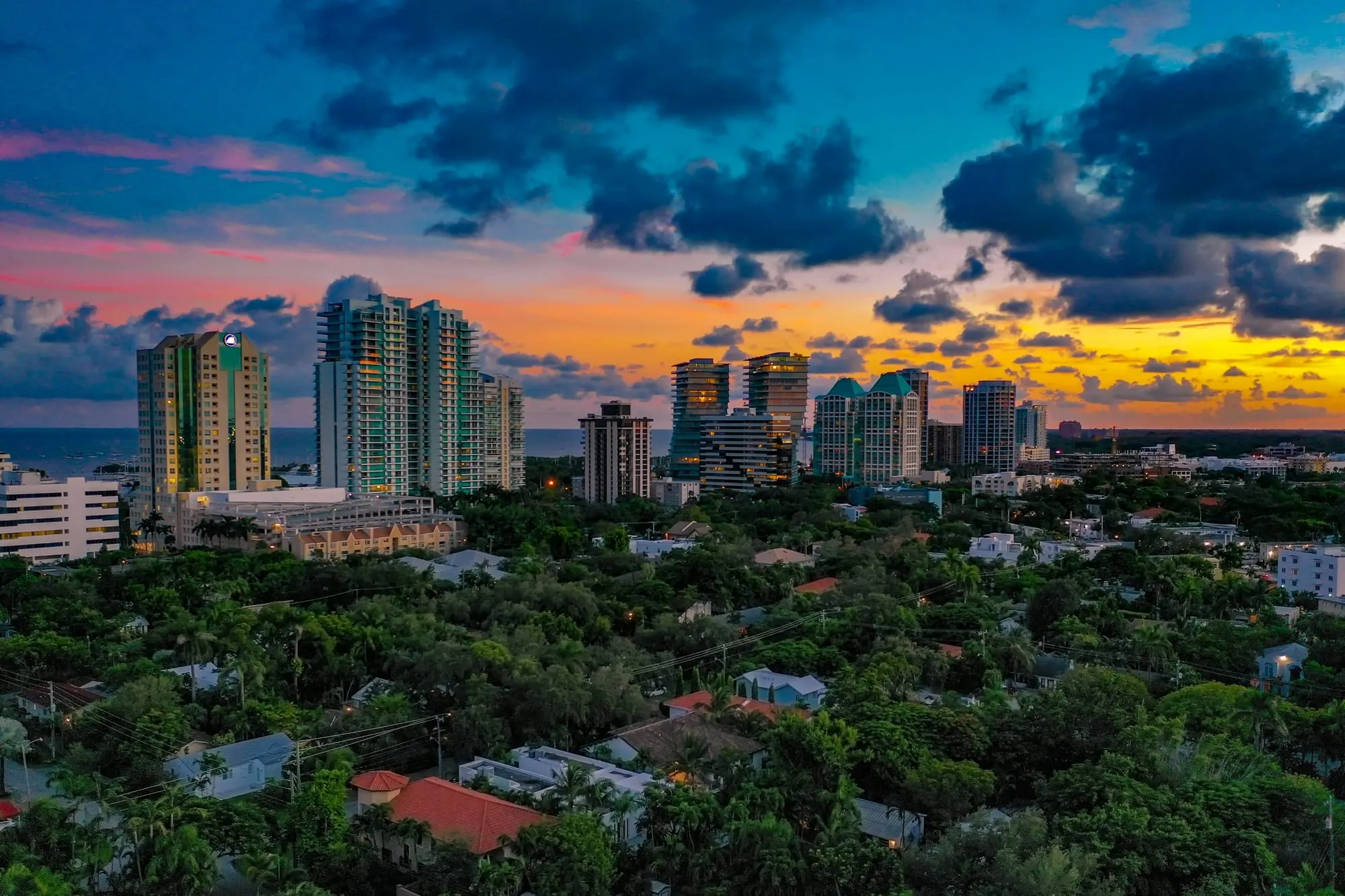 Buildings rising above a dense tree canopy, from the air at sunset