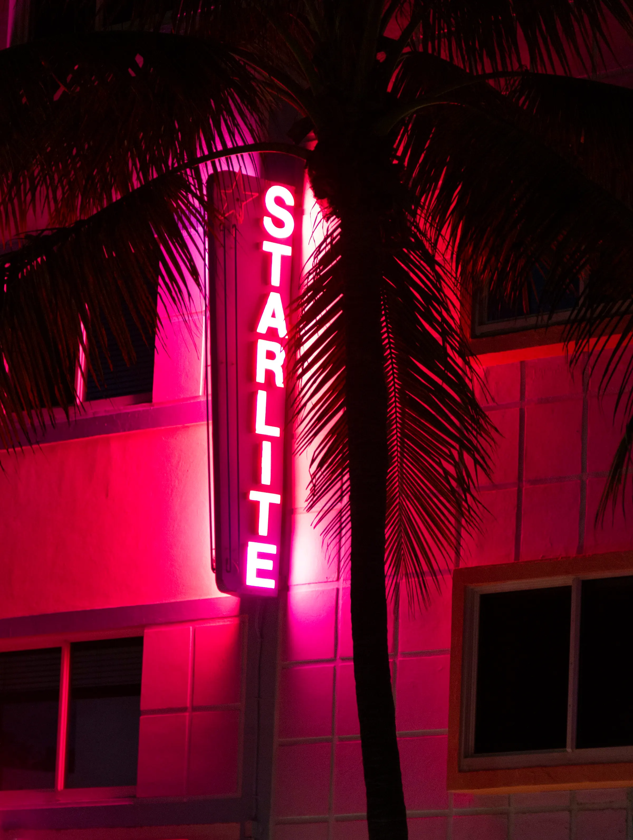 Bir binanın cephesinde pembe neon otel tabelası, önünde palmiye ağacı silüeti, gece