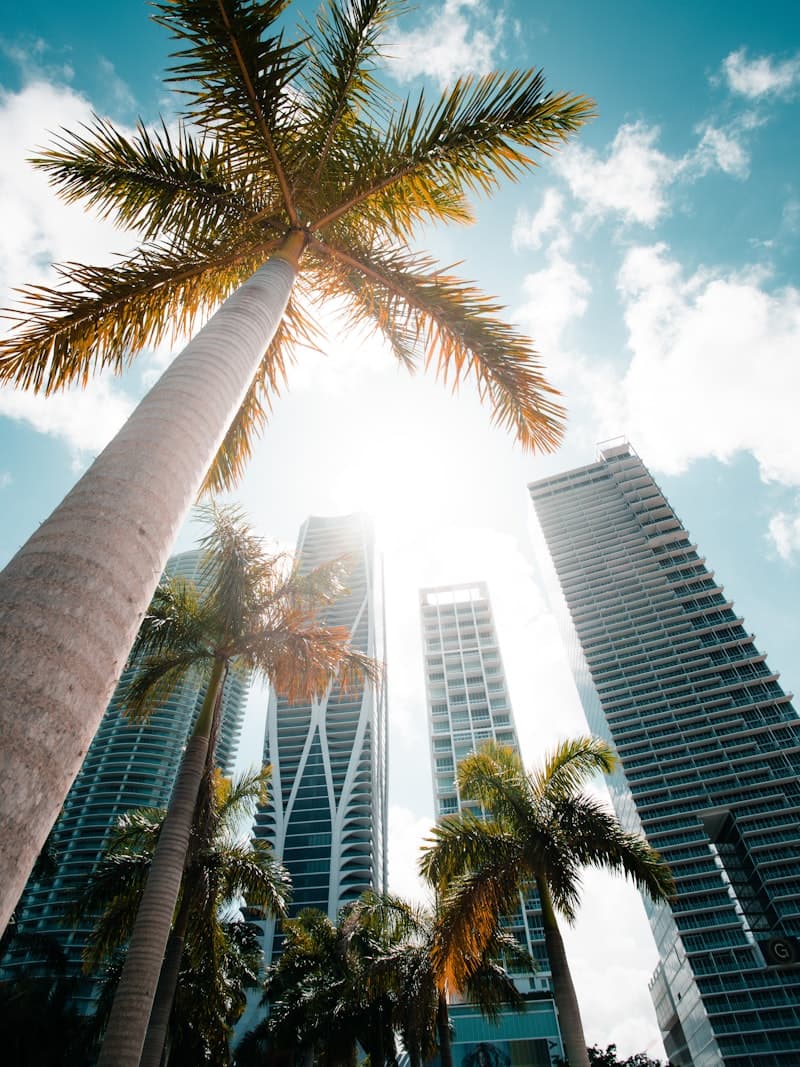 Bal Harbour, Miami havadan görünüm
