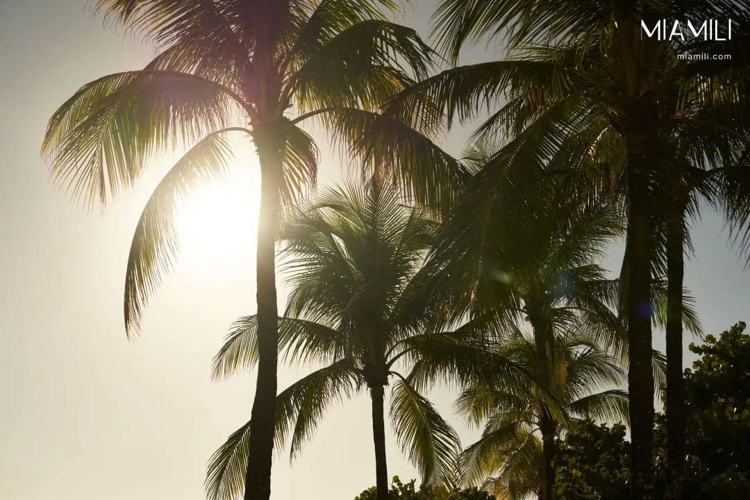 Rivage Bal Harbour — görsel 4