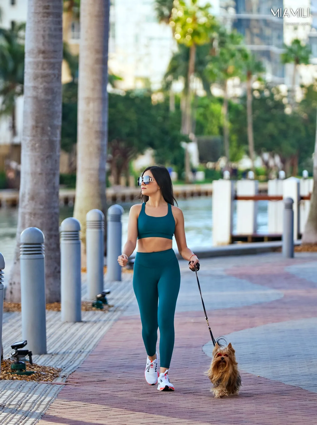 Viceroy Residences Brickell — görsel 3
