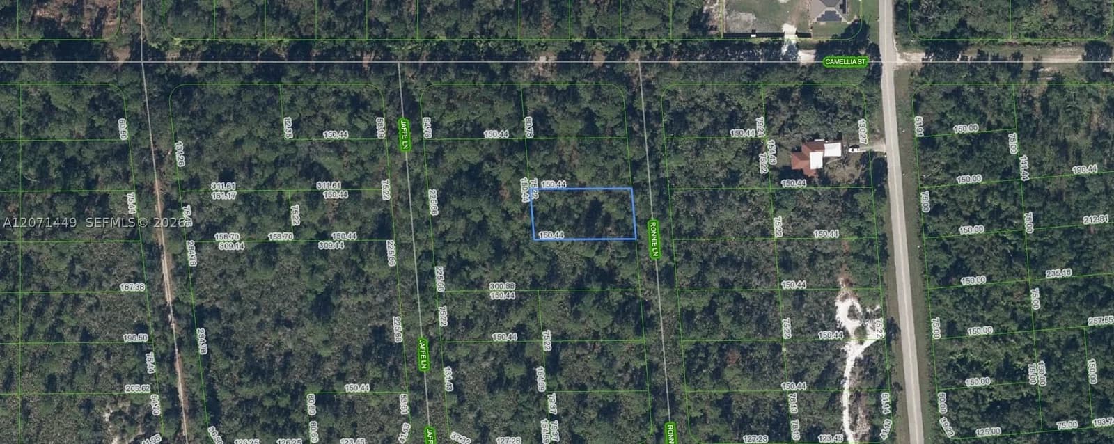 Mülk — 722 Ronnie Lane, Lake Placid, FL 33852