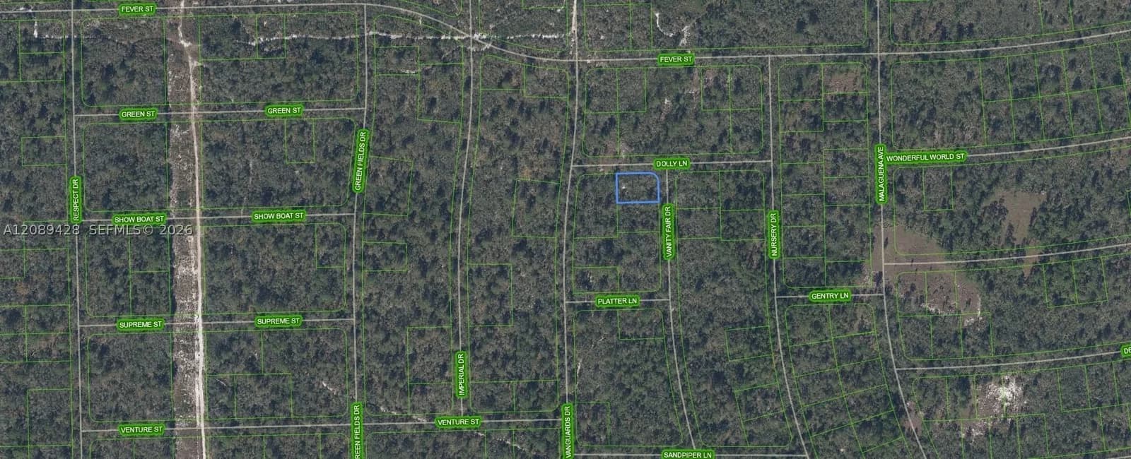Mülk — 305 Dolly Lane, Lake Placid, FL 33852
