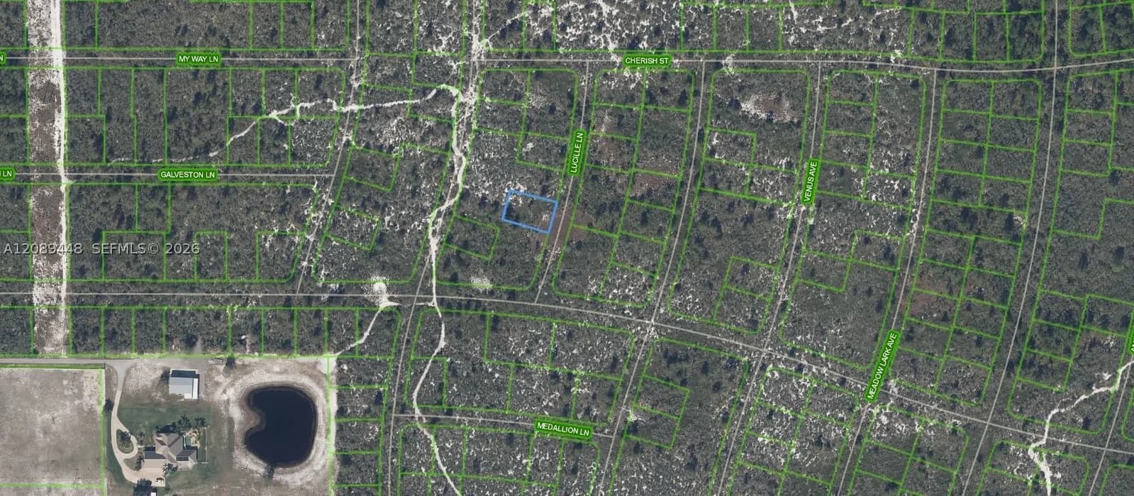 Mülk — 431 Lucille Lane, Lake Placid, FL 33852