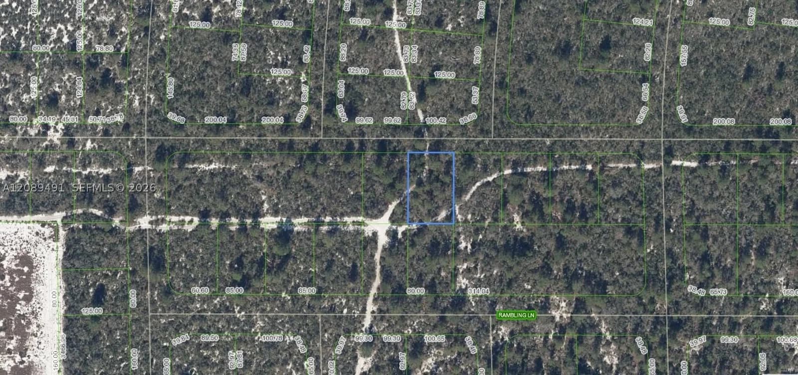 Mülk — 437 Souvenir Lane, Lake Placid, FL 33852