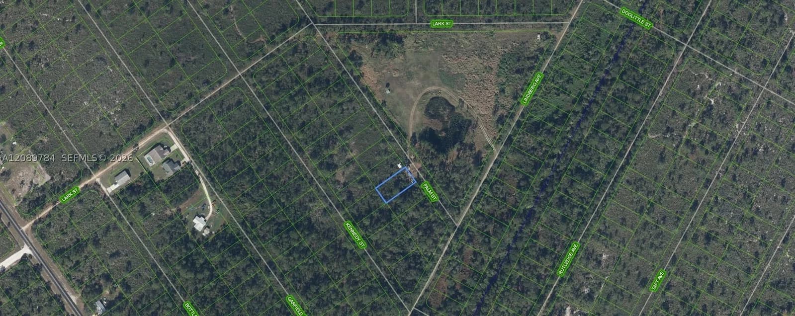 Mülk — 546 Palm Street, Lake Placid, FL 33852